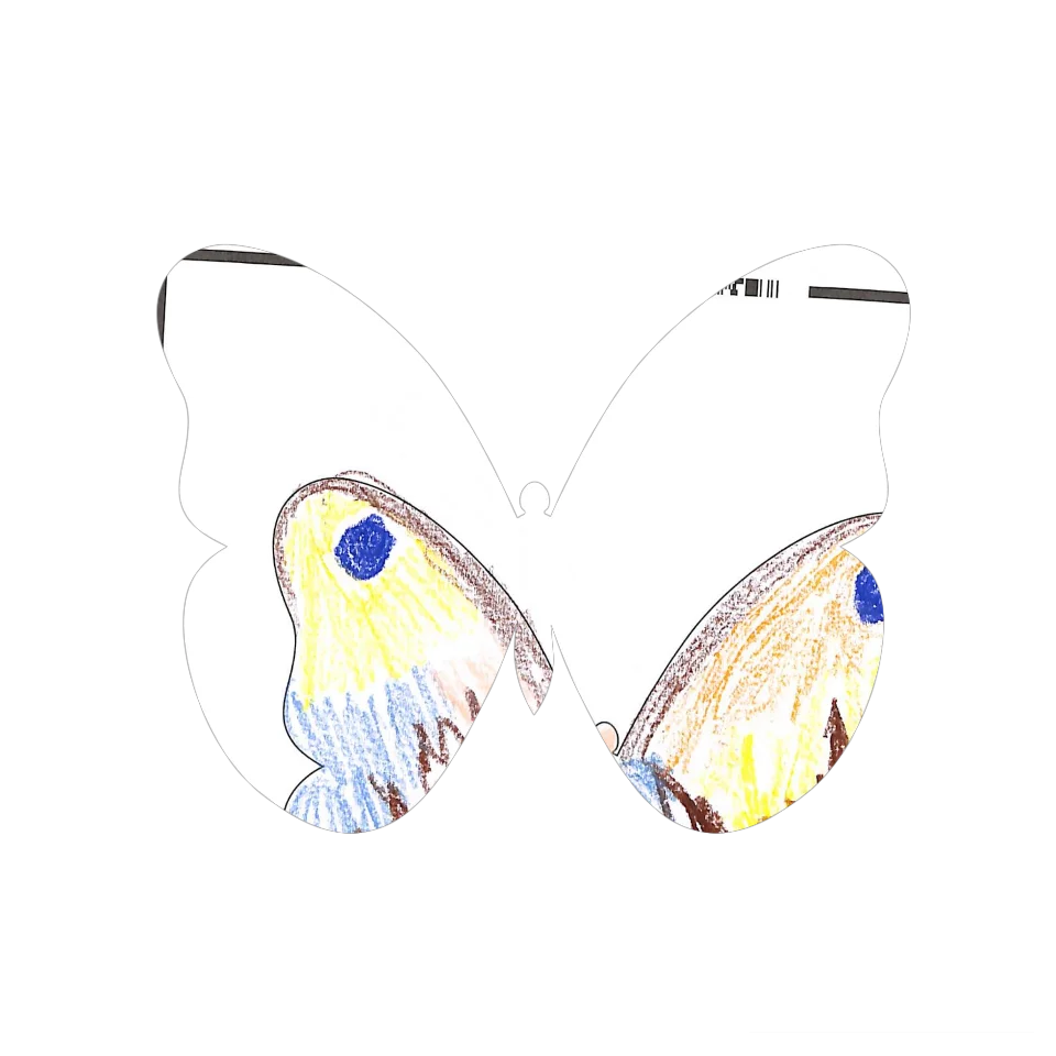 Original Butterfly Image