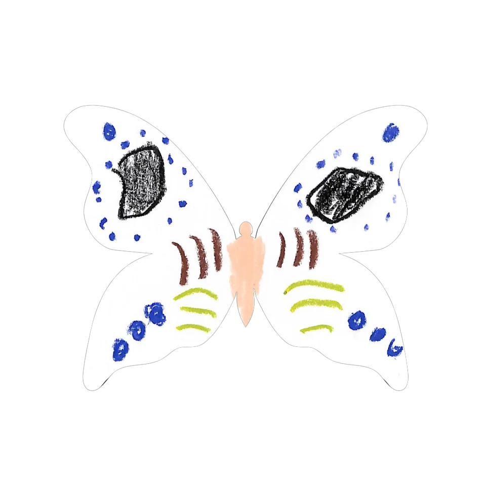 Original Butterfly Image
