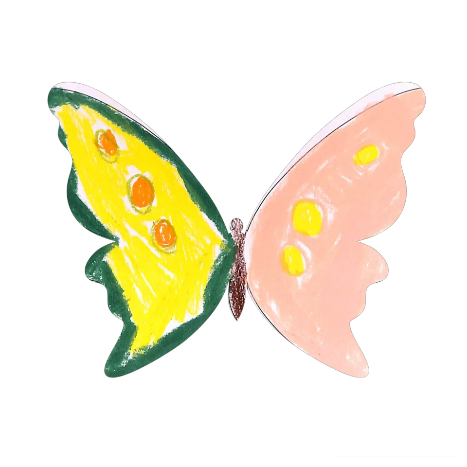 Original Butterfly Image