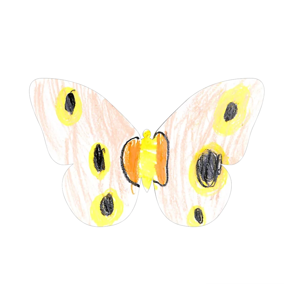 Original Butterfly Image