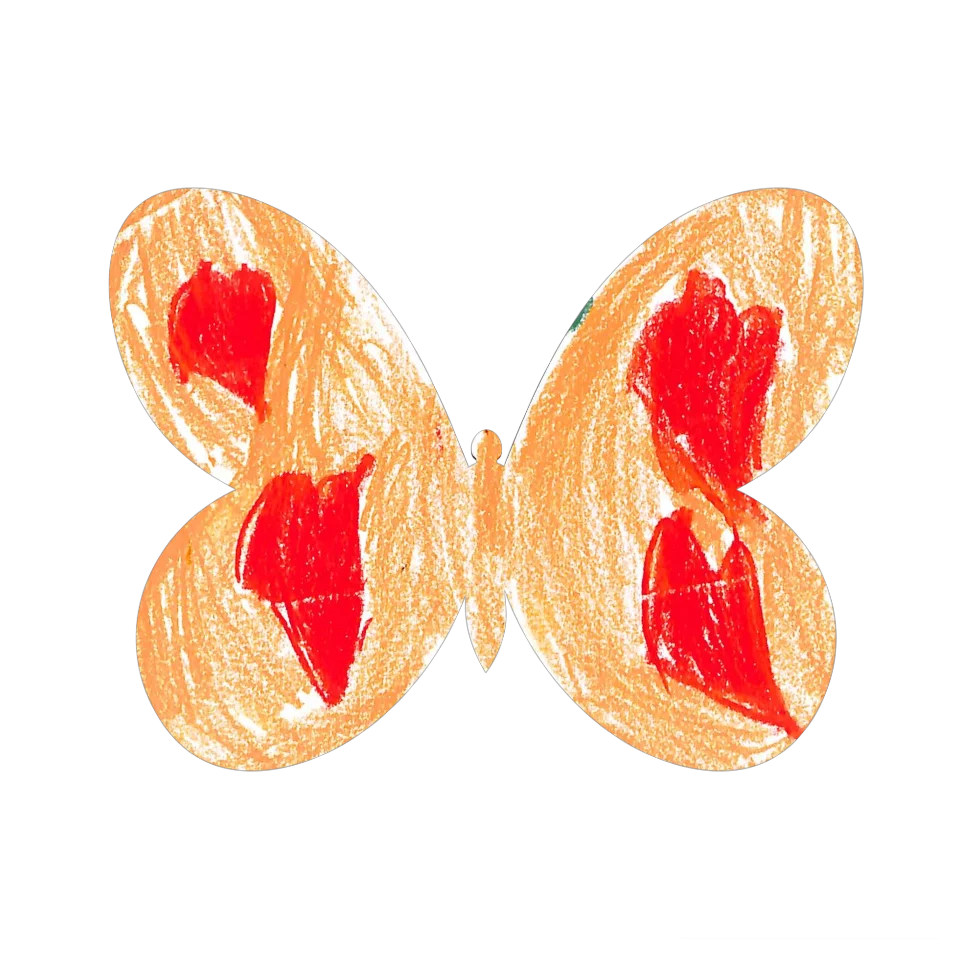 Original Butterfly Image