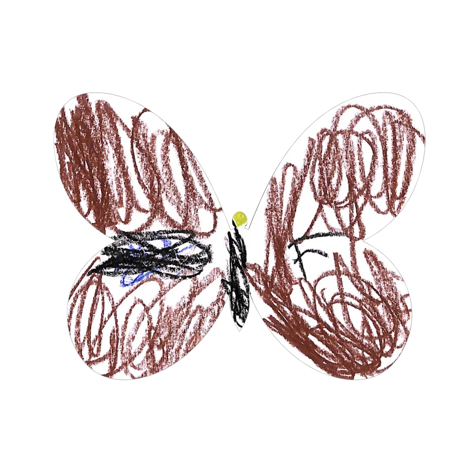 Original Butterfly Image