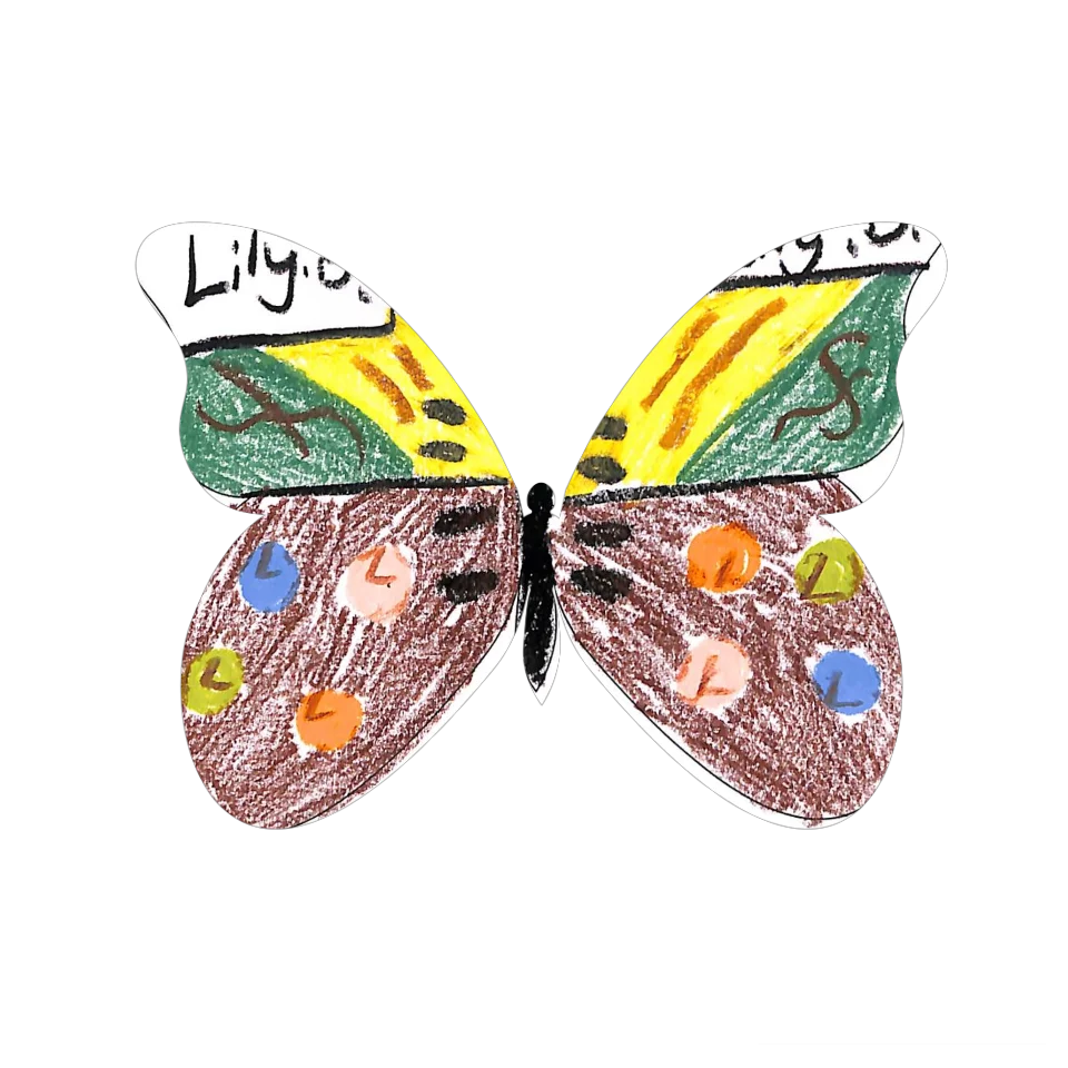 Original Butterfly Image