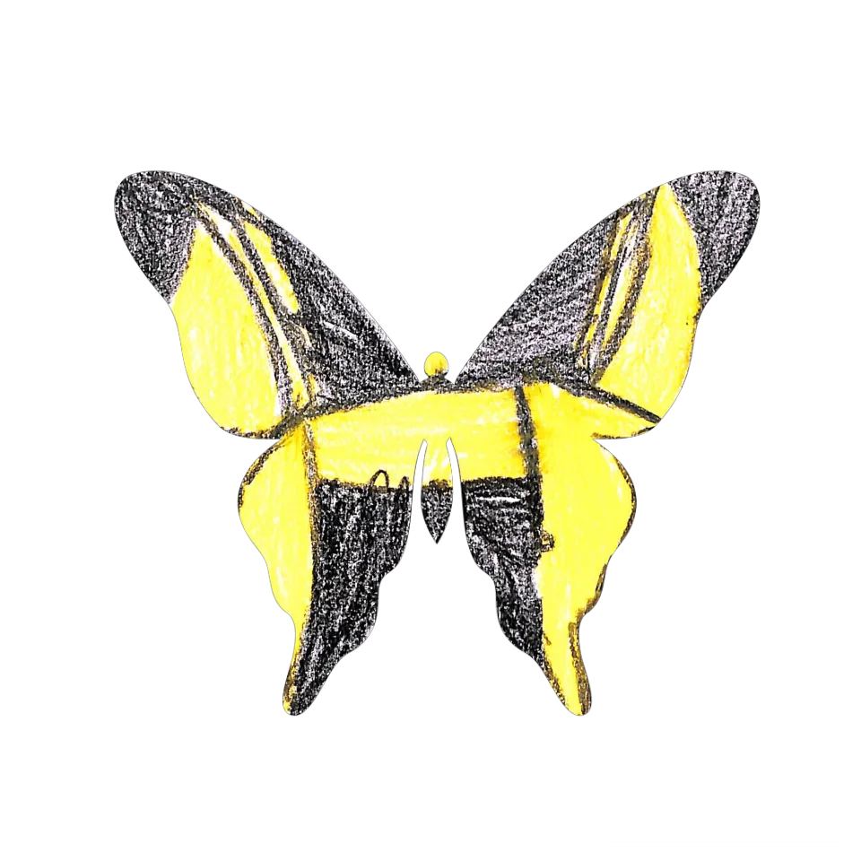 Original Butterfly Image