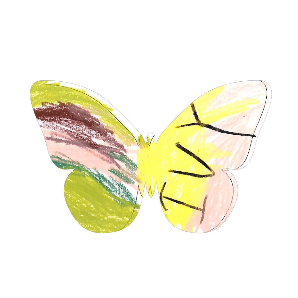 Original Butterfly Image