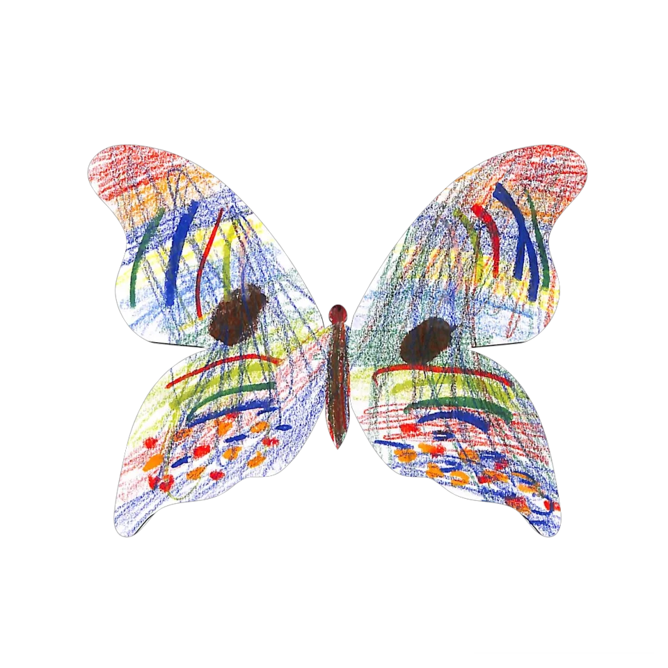 Original Butterfly Image