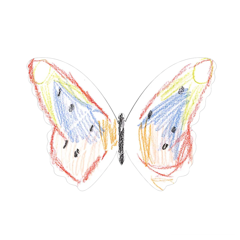 Original Butterfly Image