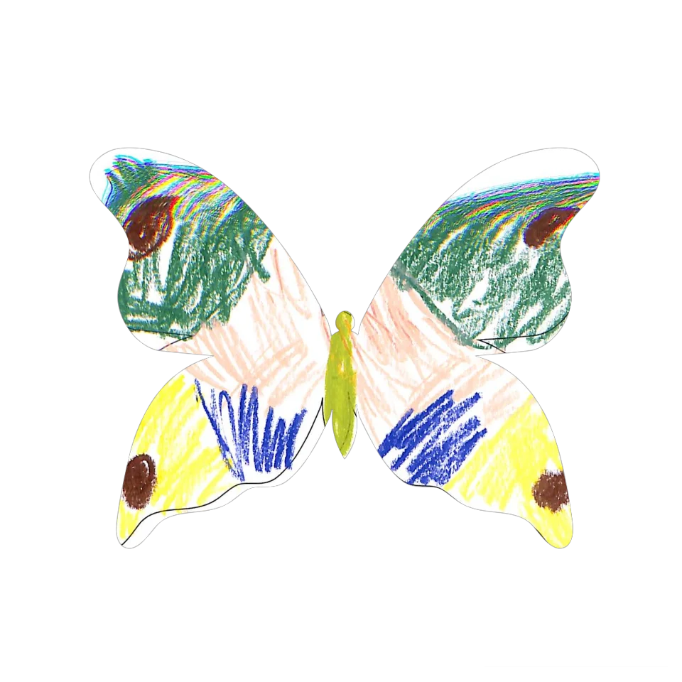 Original Butterfly Image