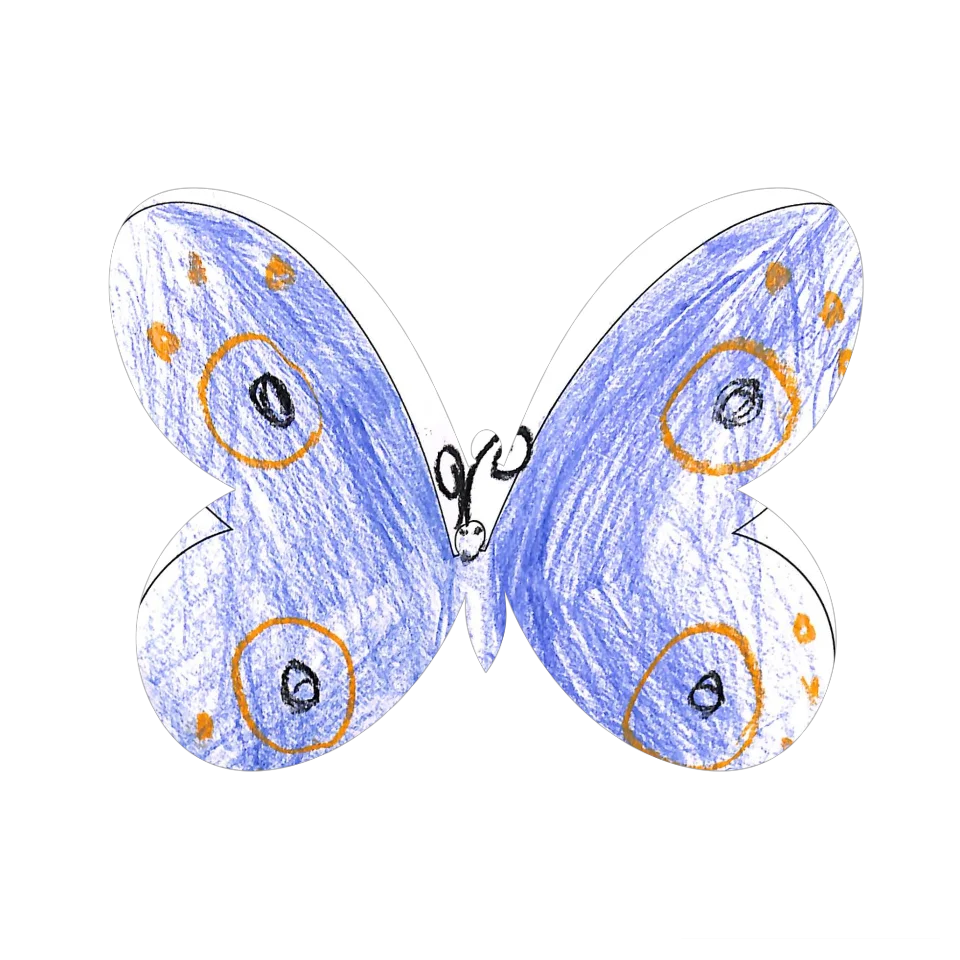 Original Butterfly Image