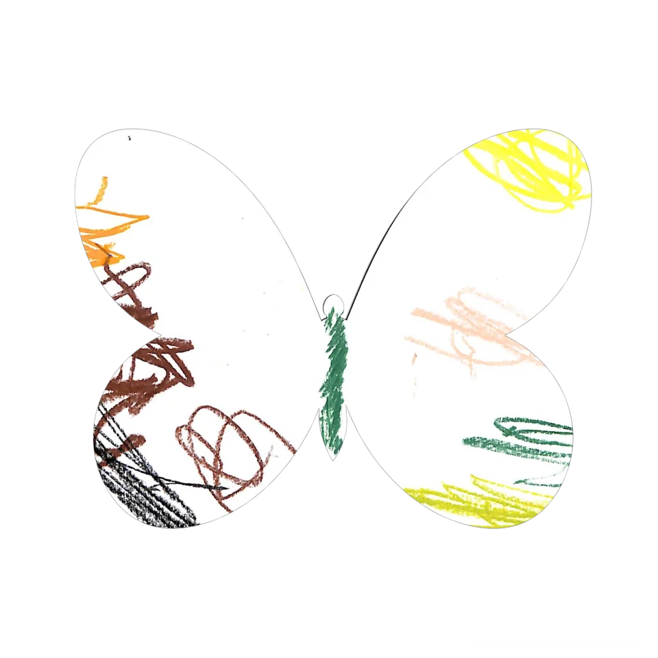 Original Butterfly Image