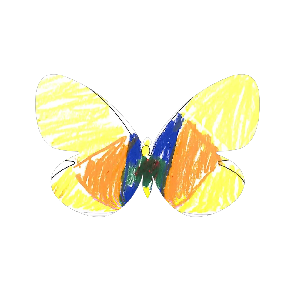 Original Butterfly Image