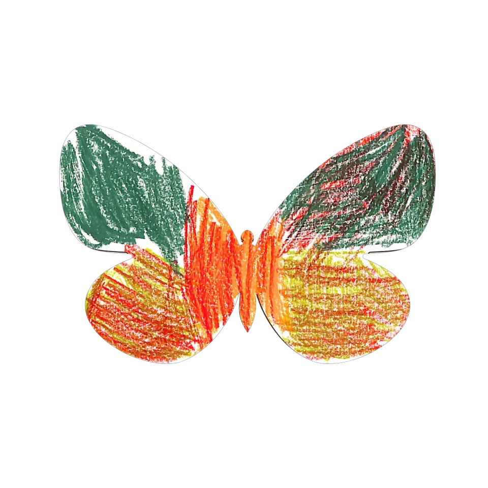 Original Butterfly Image