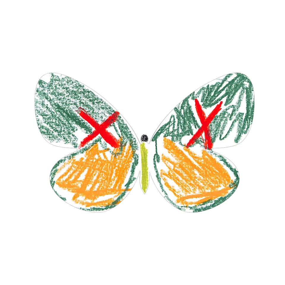 Original Butterfly Image