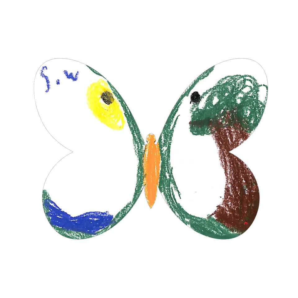 Original Butterfly Image