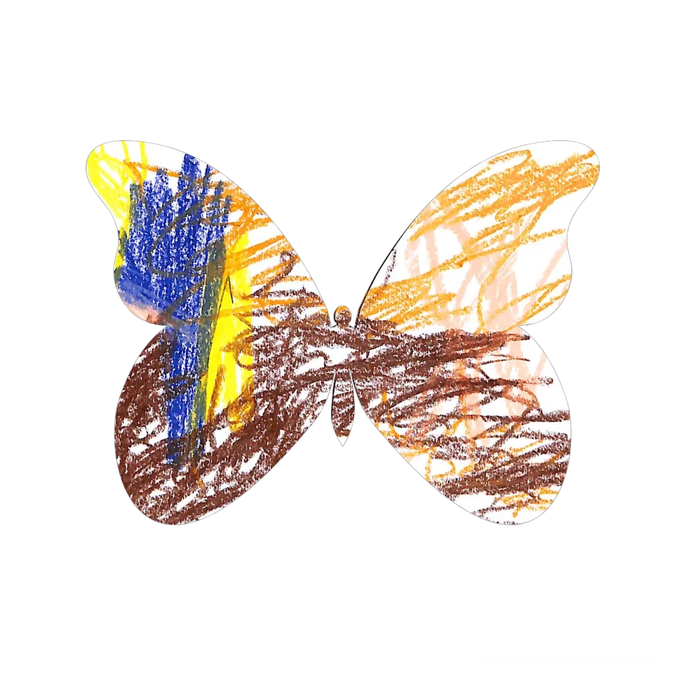 Original Butterfly Image