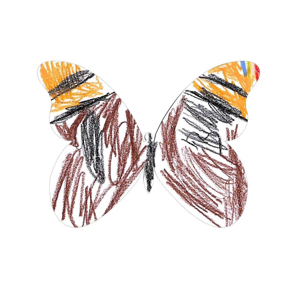 Original Butterfly Image