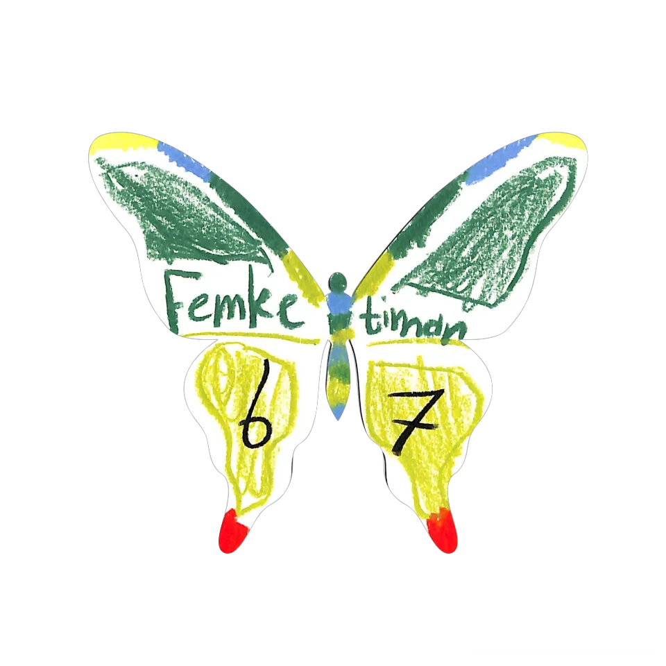 Original Butterfly Image