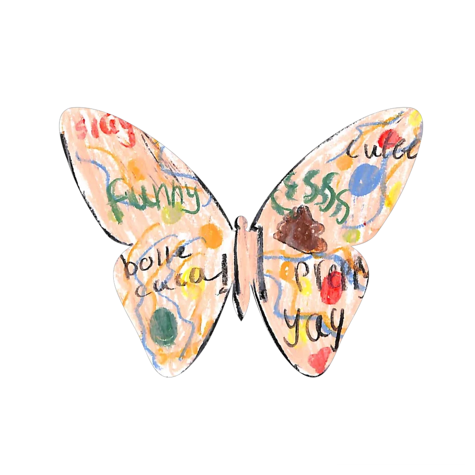 Original Butterfly Image