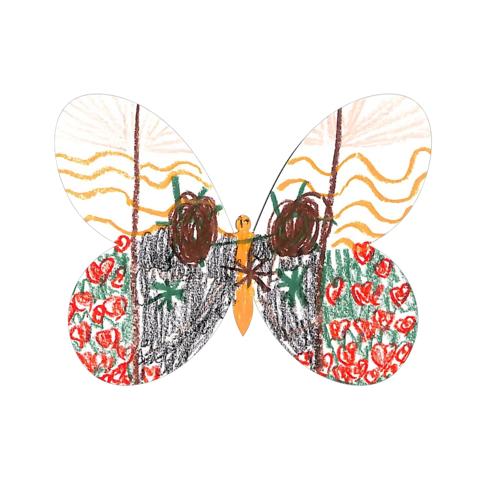 Original Butterfly Image