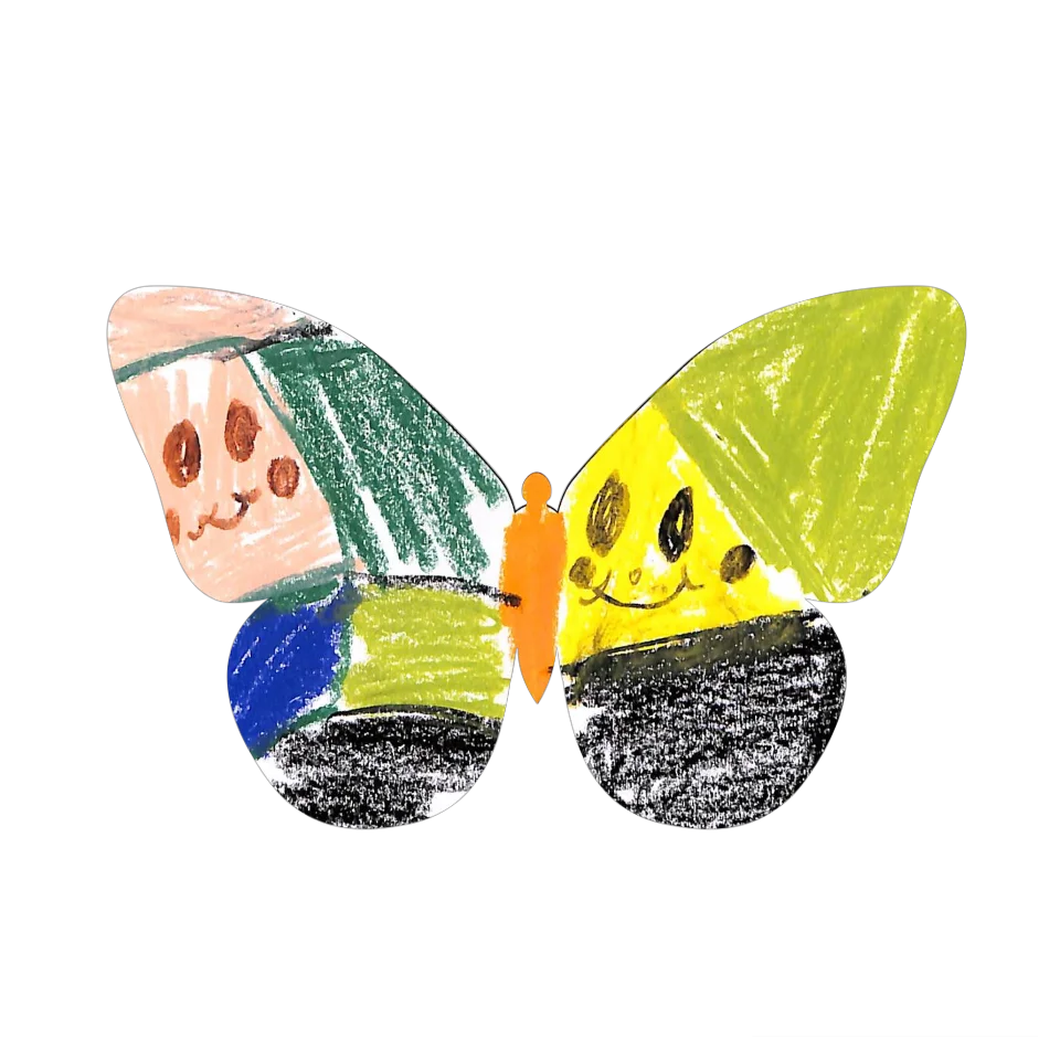 Original Butterfly Image