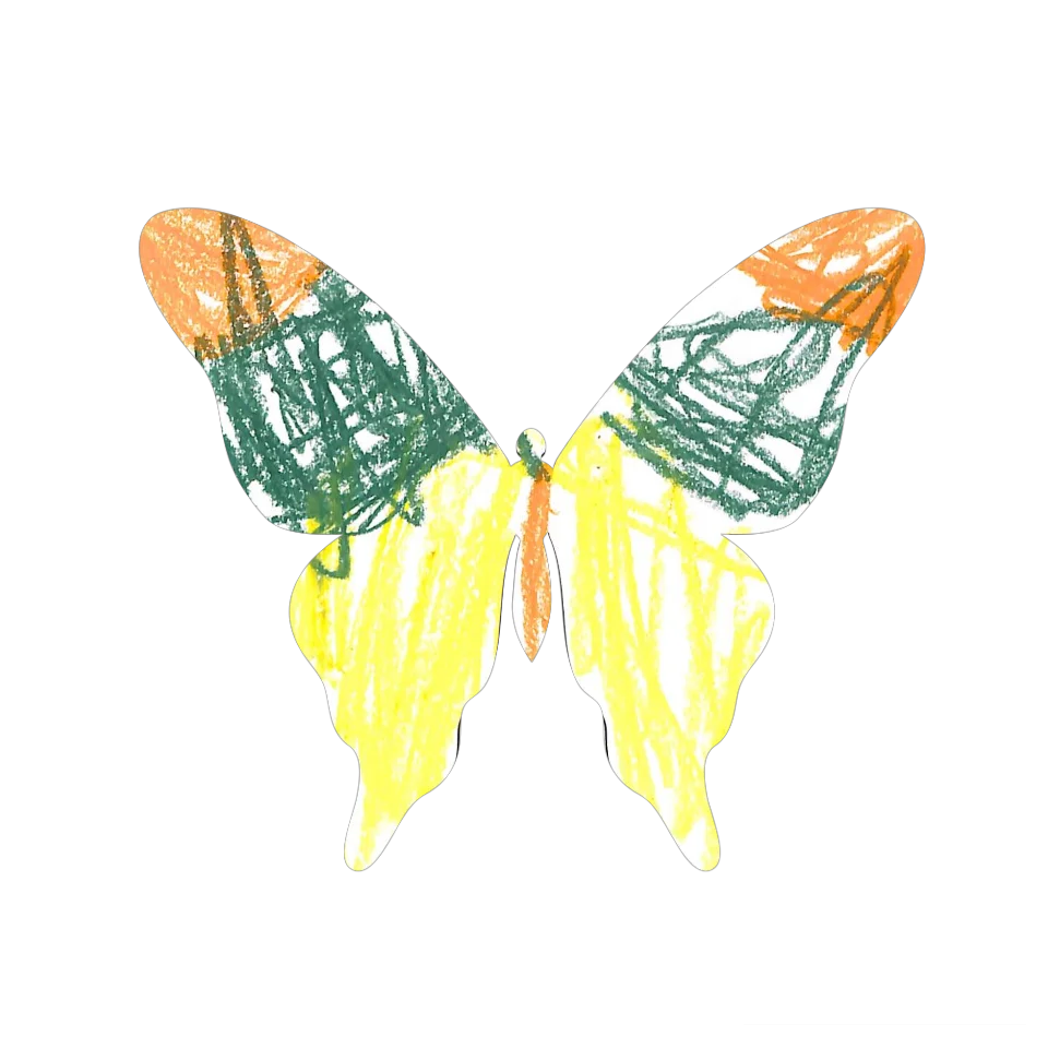 Original Butterfly Image