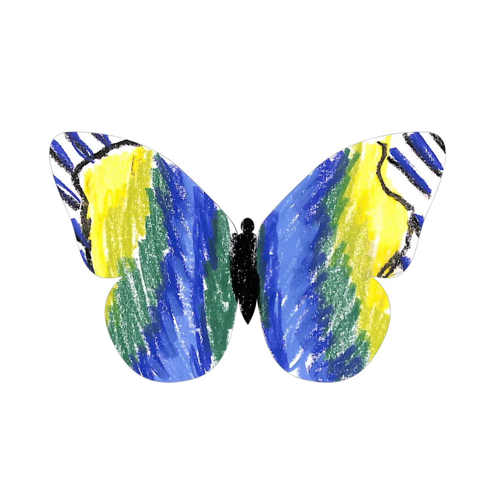 Original Butterfly Image