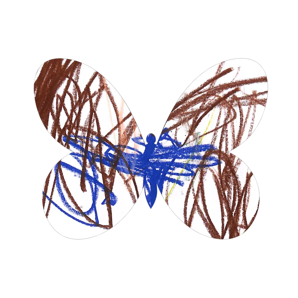 Original Butterfly Image