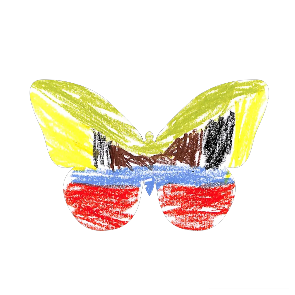 Original Butterfly Image