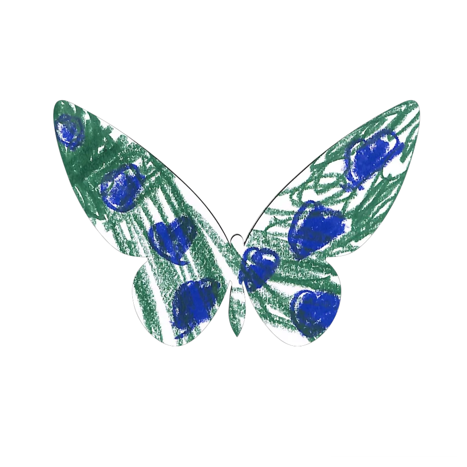 Original Butterfly Image