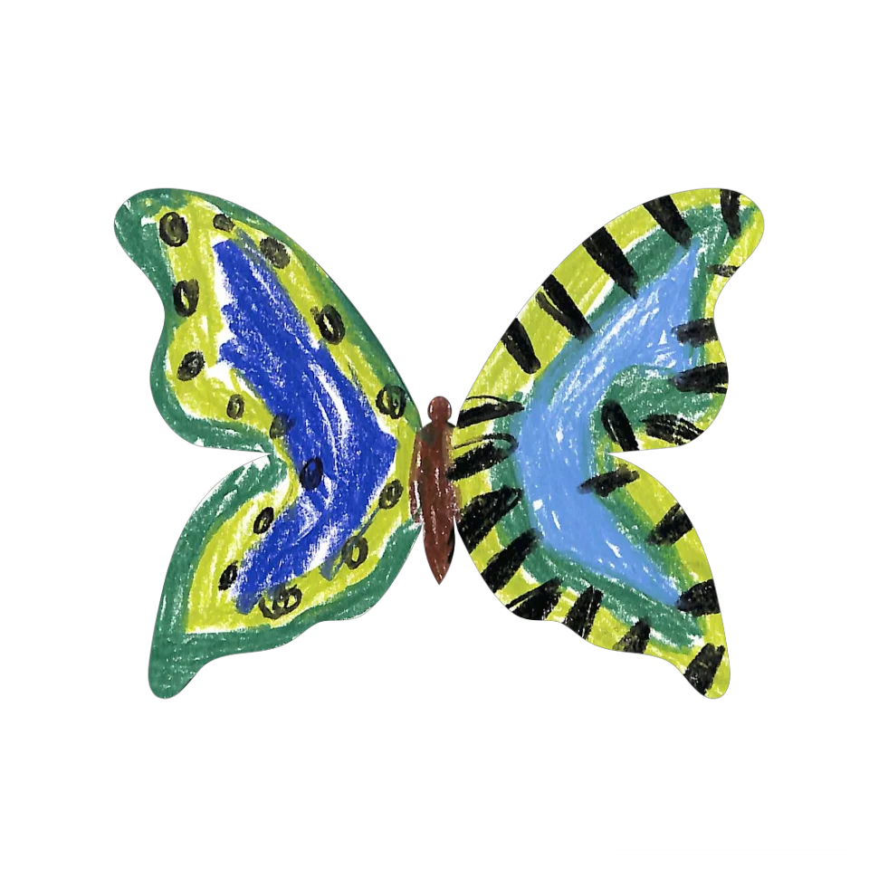 Original Butterfly Image