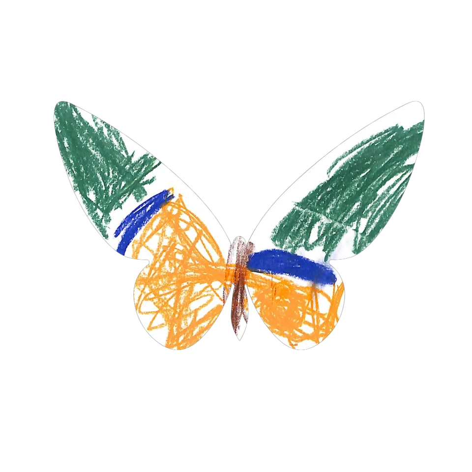 Original Butterfly Image