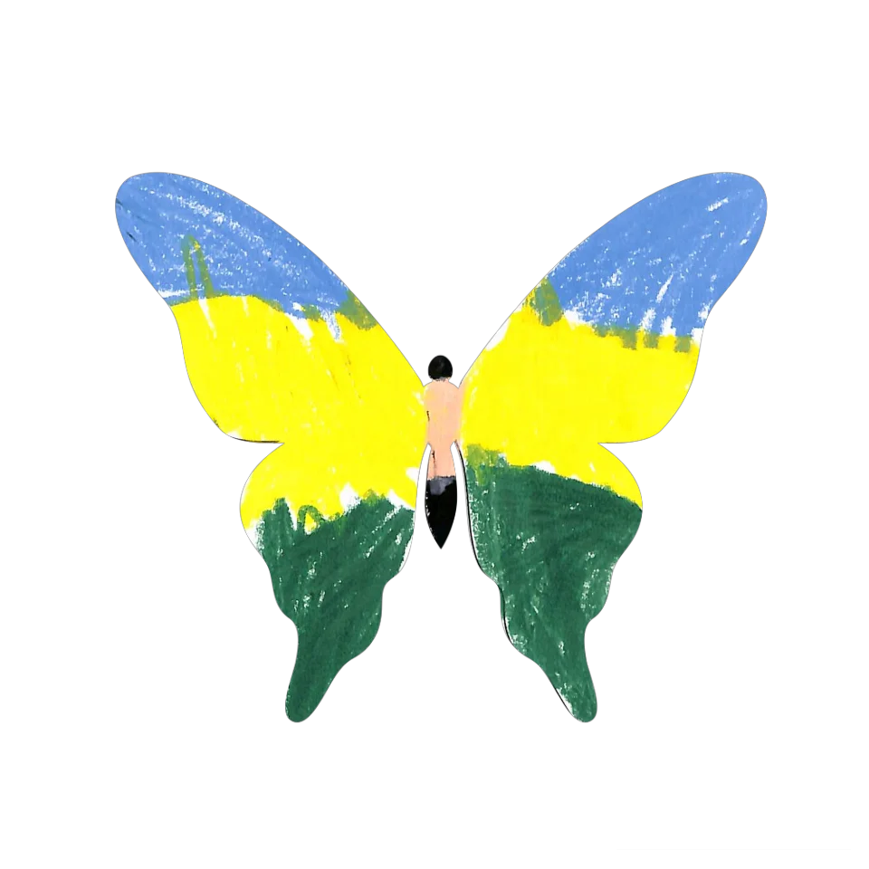 Original Butterfly Image