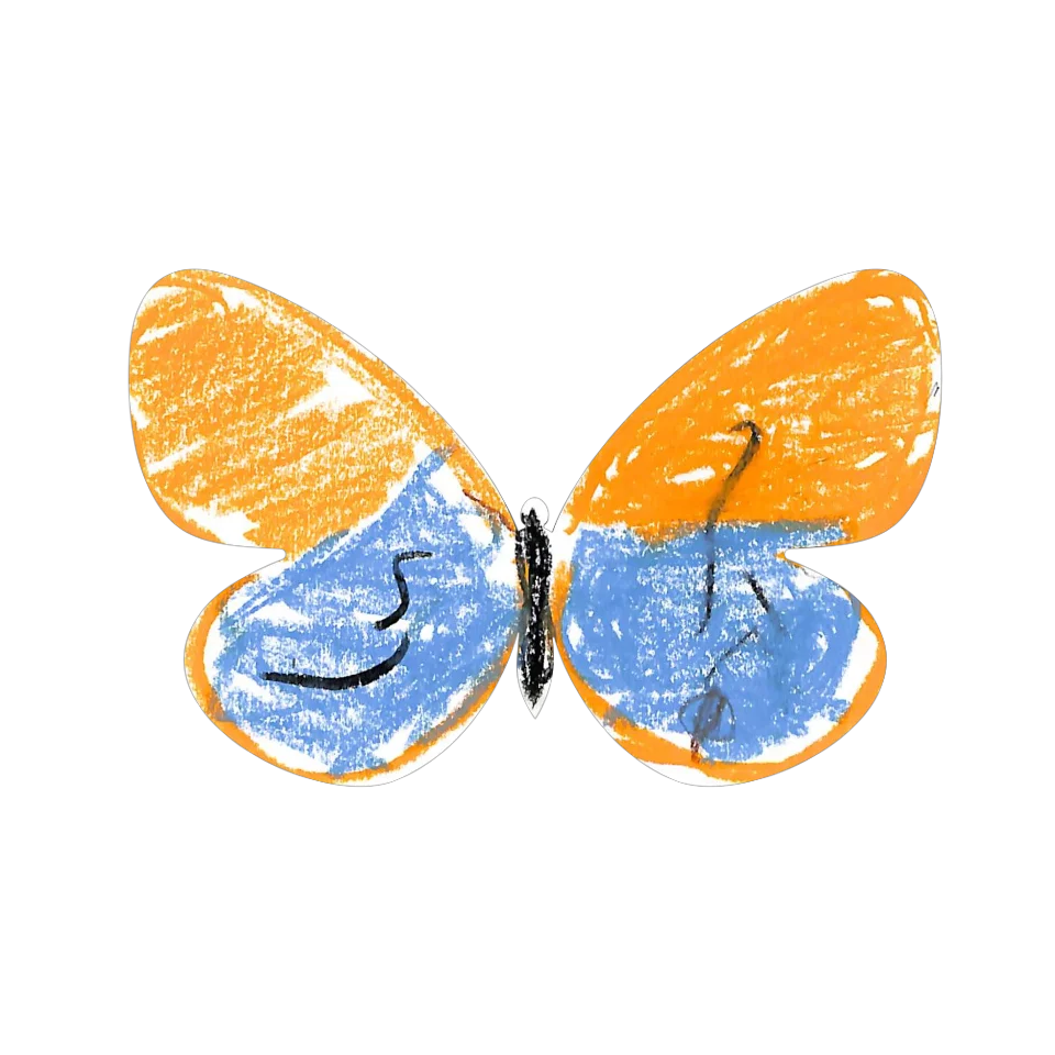 Original Butterfly Image
