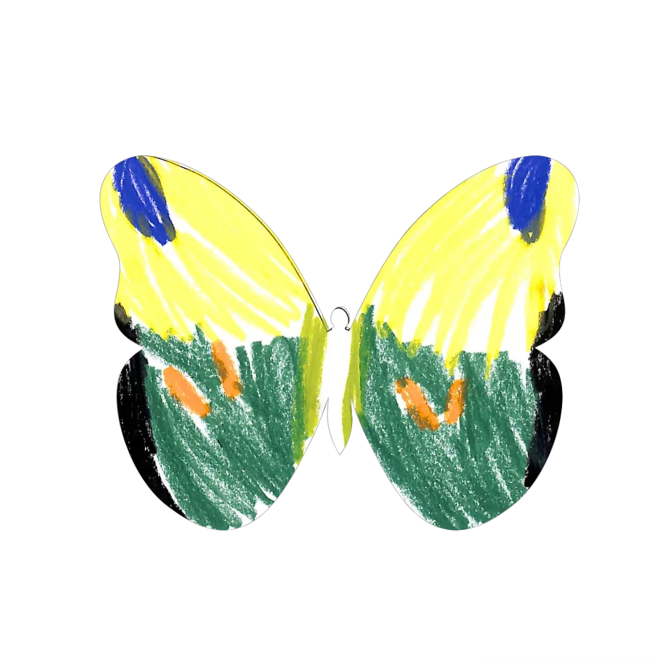 Original Butterfly Image
