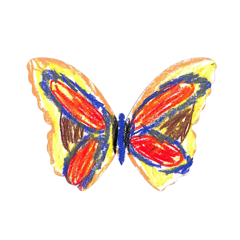 Original Butterfly Image
