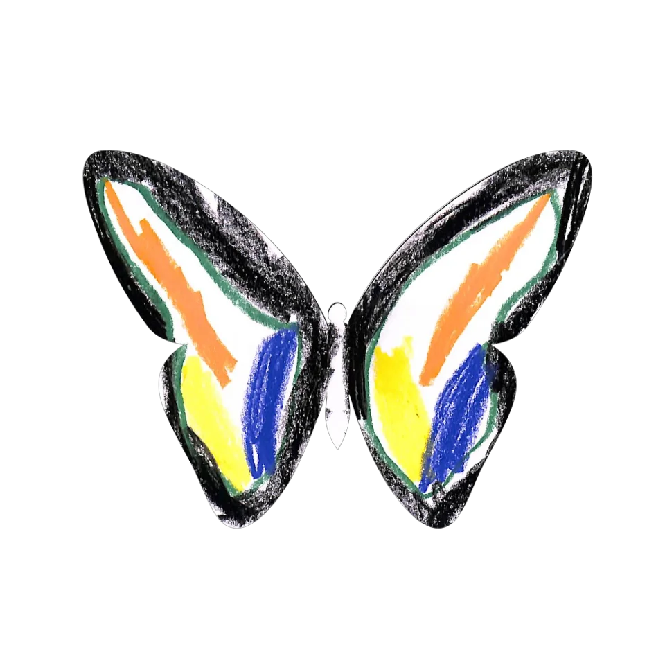 Original Butterfly Image