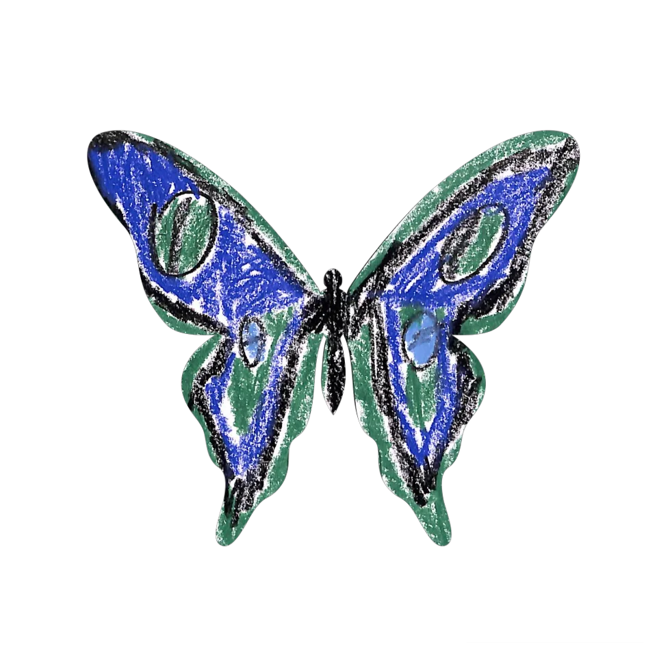 Original Butterfly Image
