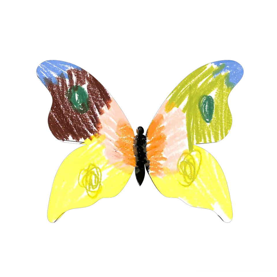 Original Butterfly Image