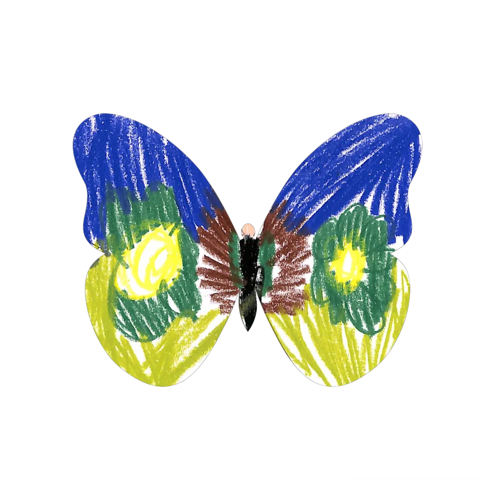 Original Butterfly Image