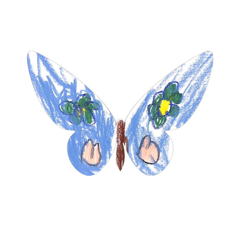 Original Butterfly Image