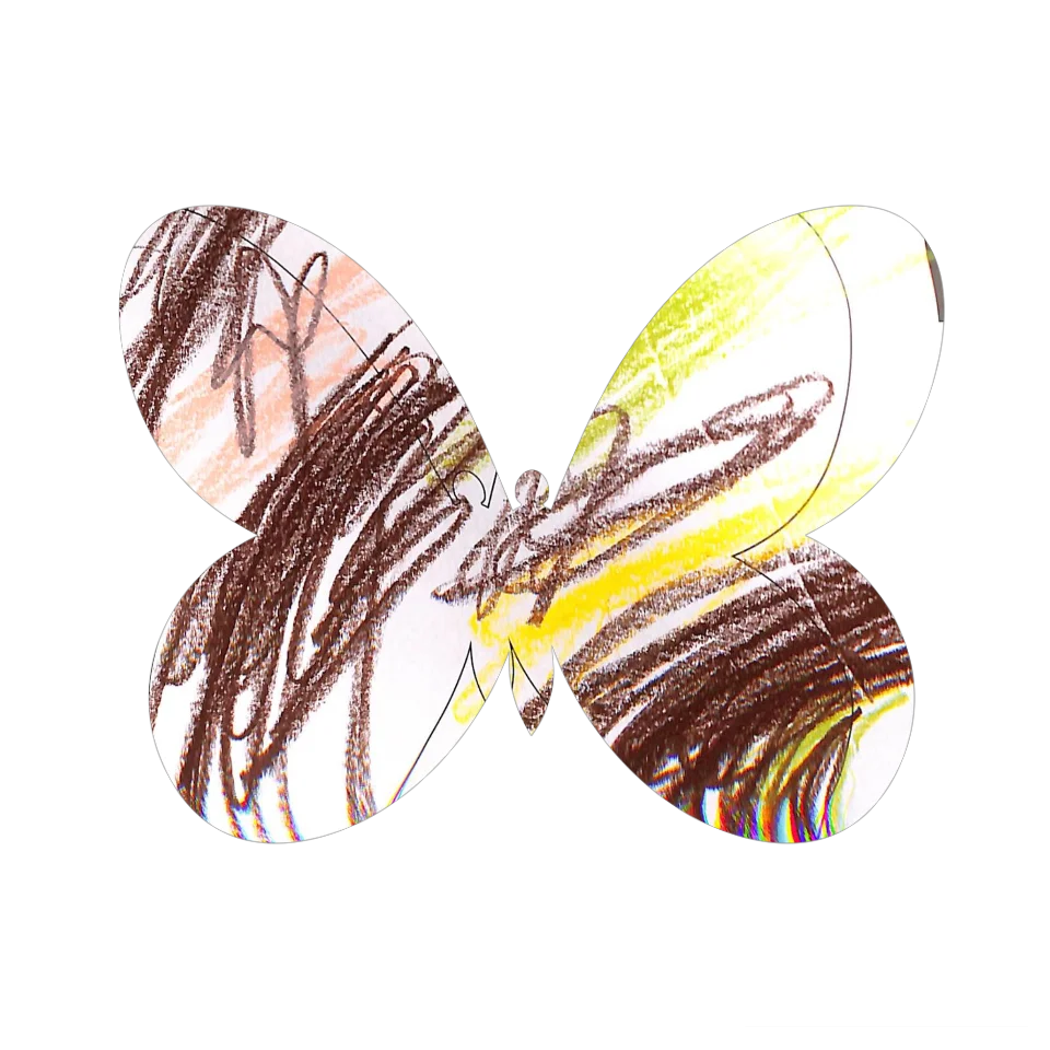 Original Butterfly Image