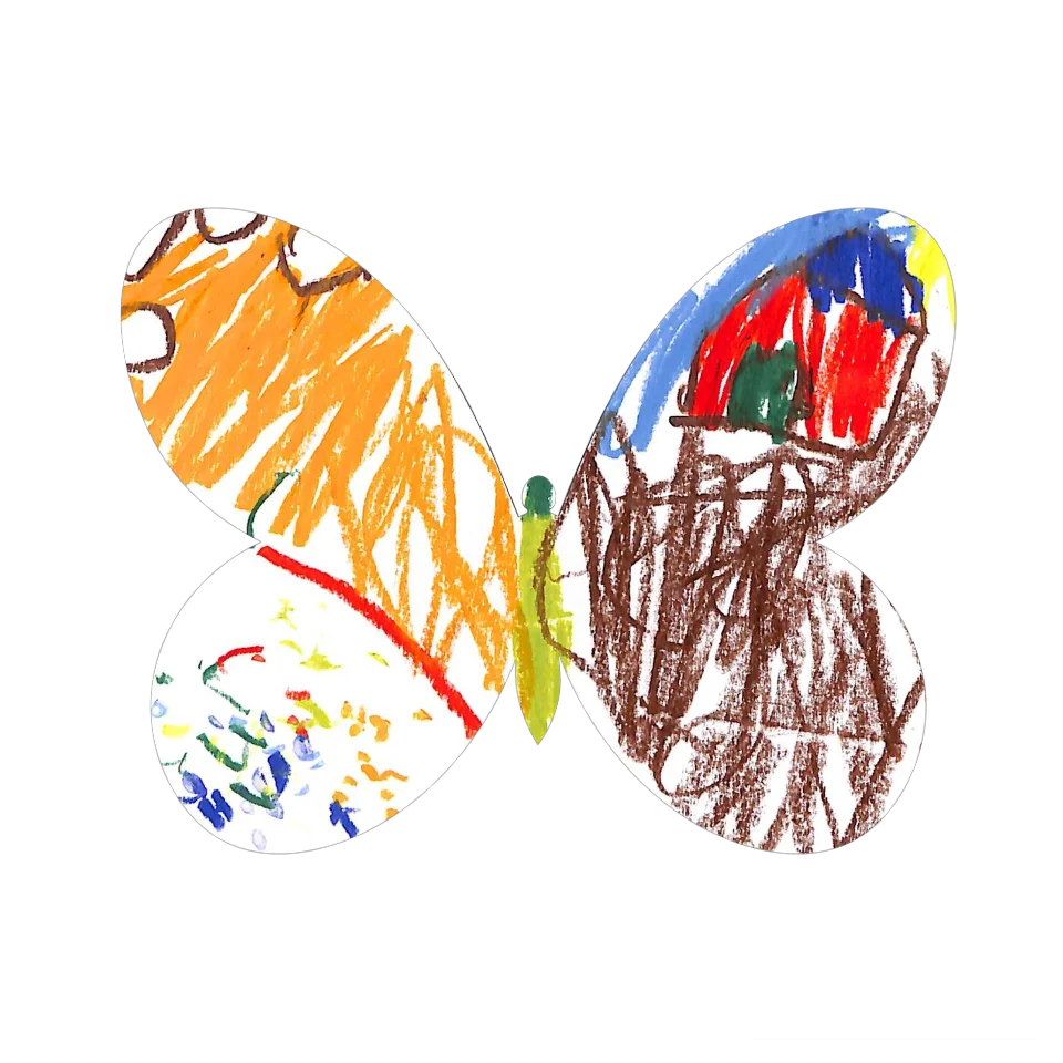 Original Butterfly Image