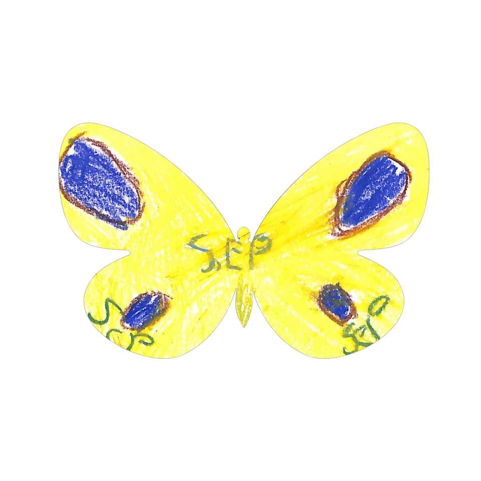Original Butterfly Image