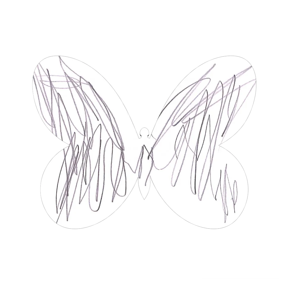 Original Butterfly Image