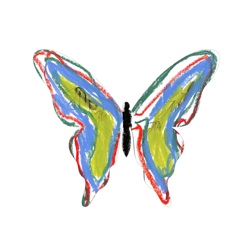 Original Butterfly Image