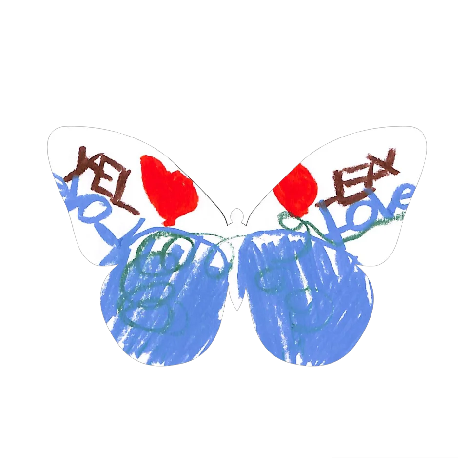 Original Butterfly Image