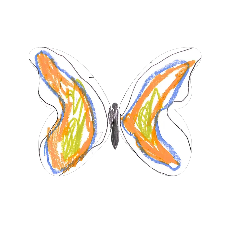 Original Butterfly Image