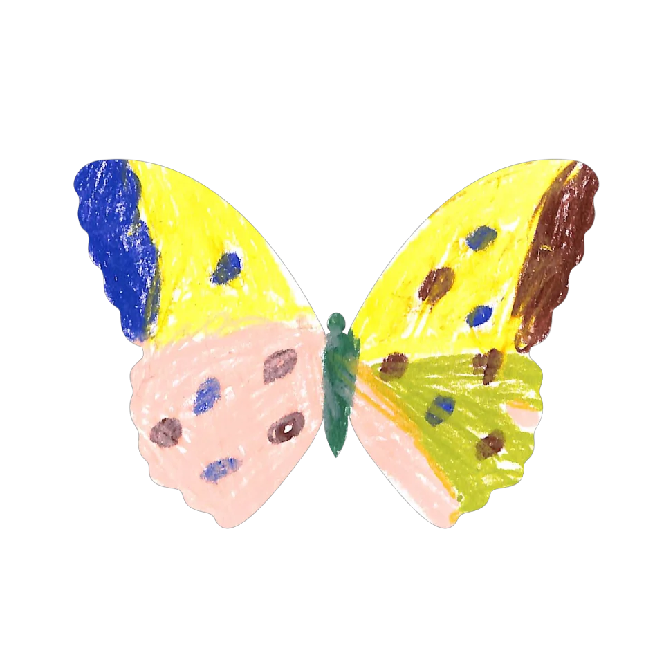 Original Butterfly Image