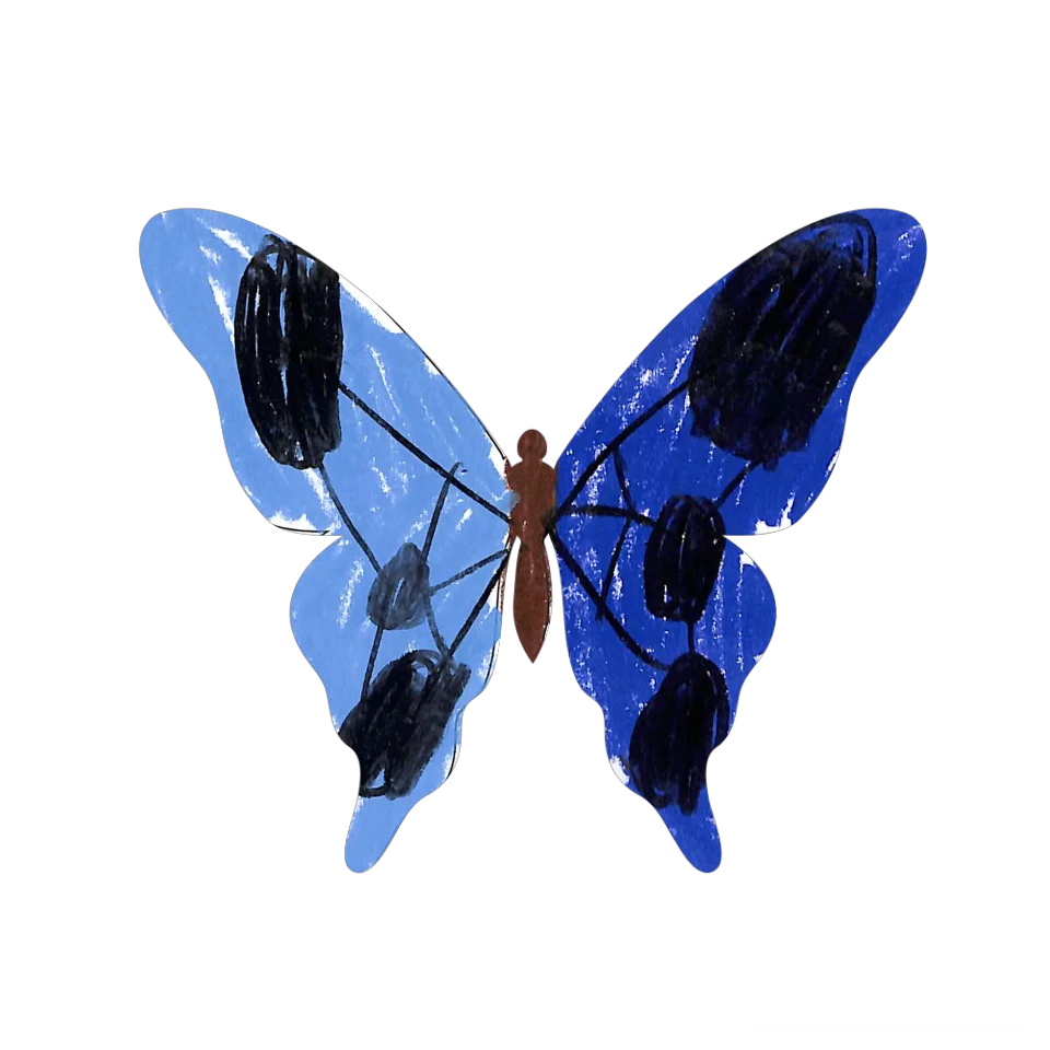 Original Butterfly Image