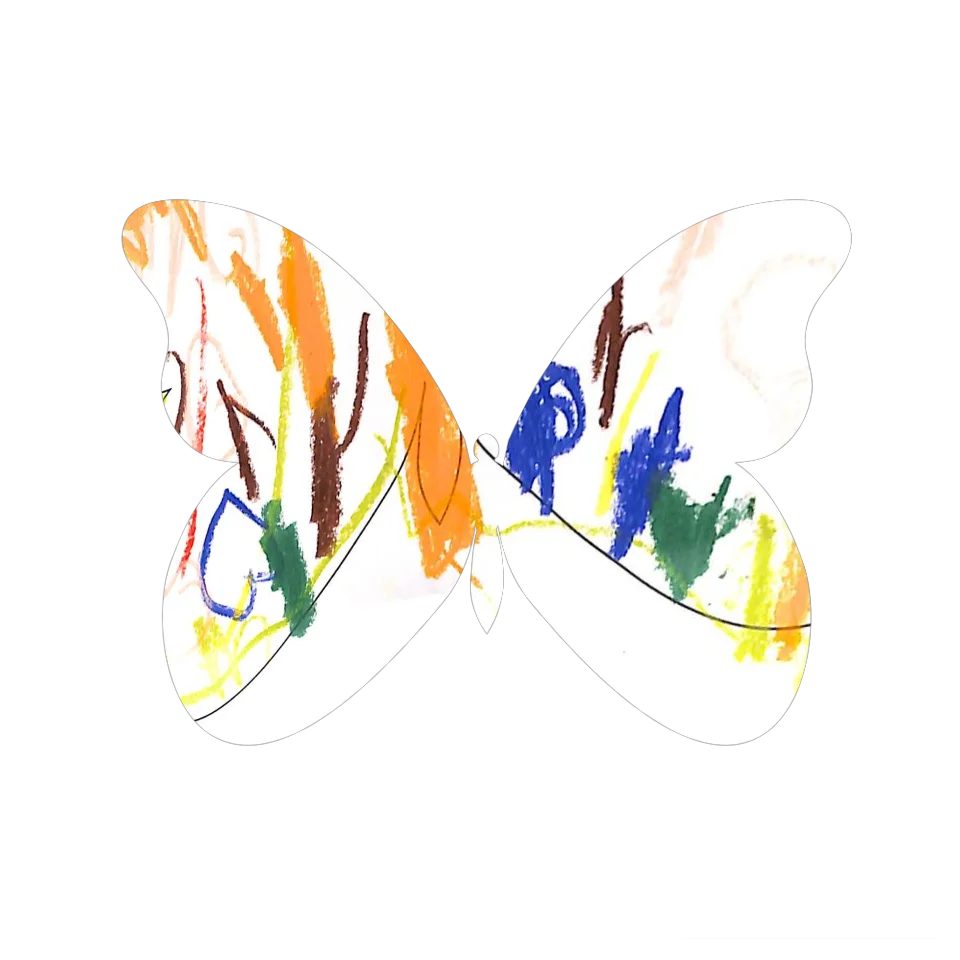 Original Butterfly Image